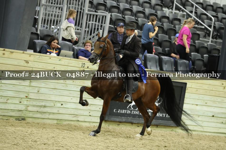 Proof 24BUCK_04887