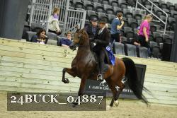 24BUCK_04887 proof