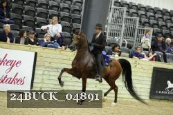 24BUCK_04891 proof
