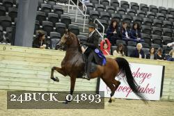 24BUCK_04893 proof