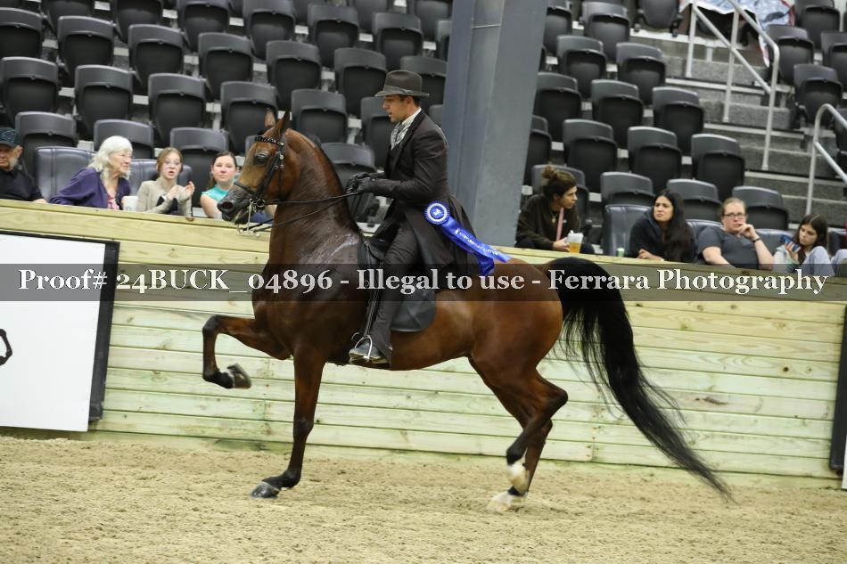 Proof 24BUCK_04896