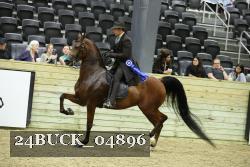 24BUCK_04896 proof