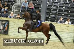 24BUCK_04899 proof