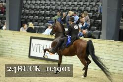 24BUCK_04901 proof