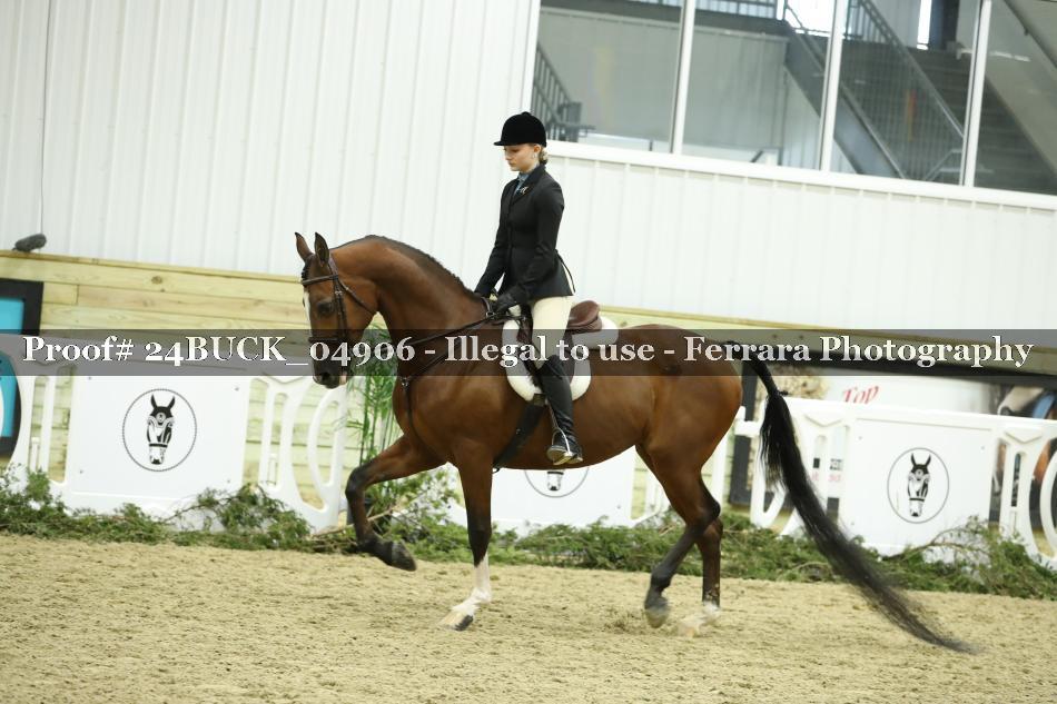 Proof 24BUCK_04906