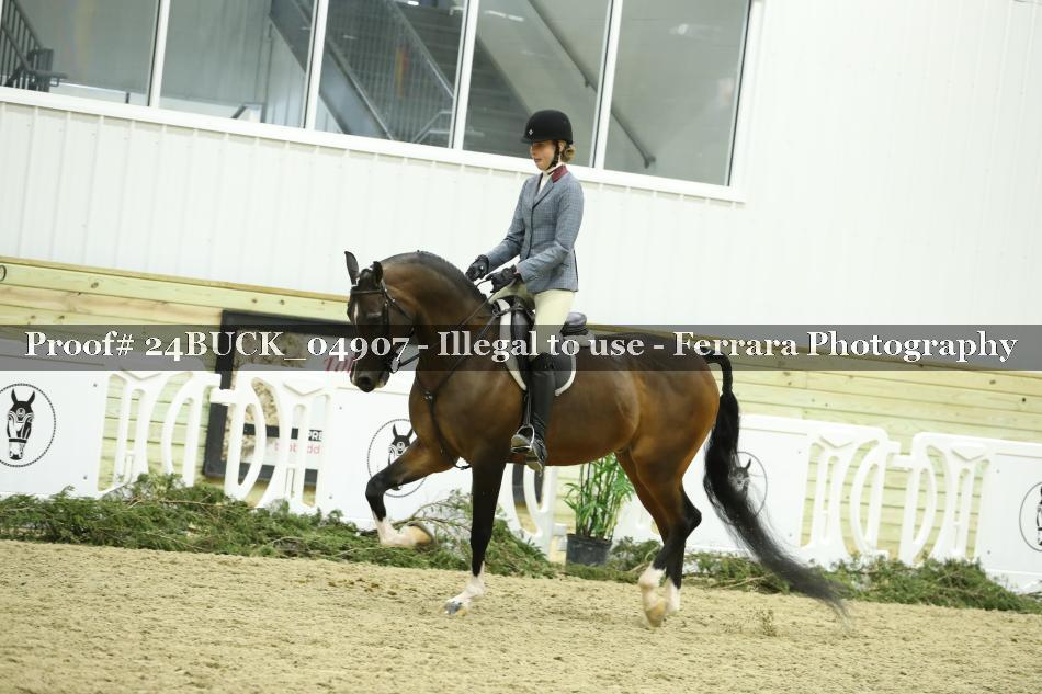 Proof 24BUCK_04907