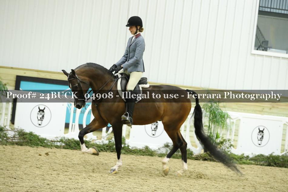 Proof 24BUCK_04908