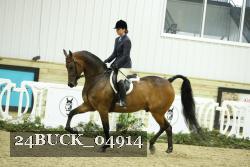 24BUCK_04914 proof