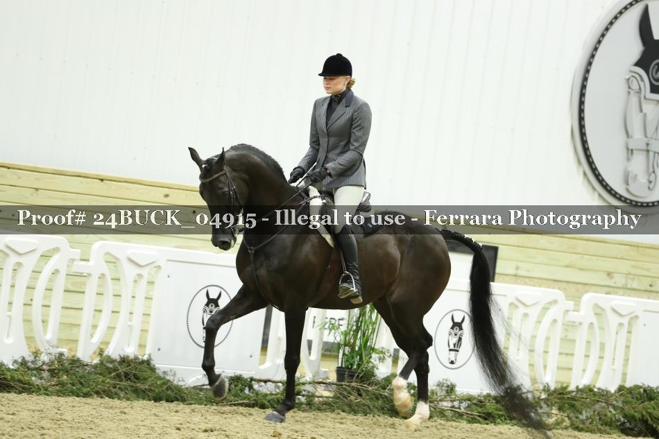 Proof 24BUCK_04915