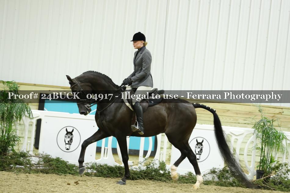 Proof 24BUCK_04917