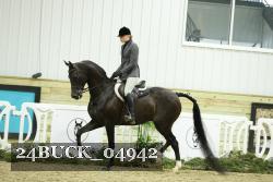 24BUCK_04942 proof