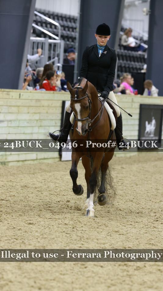 Proof 24BUCK_04946