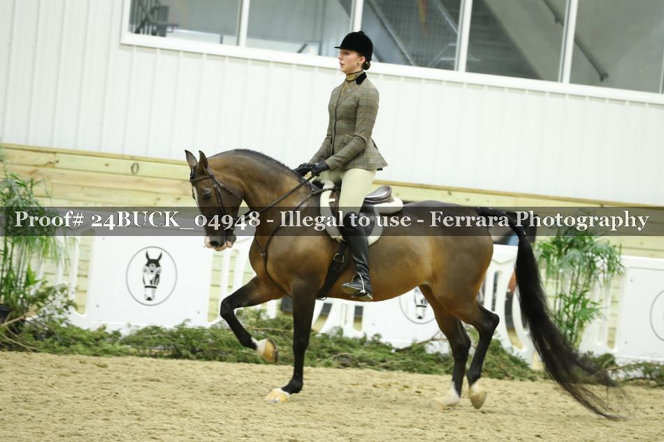Proof 24BUCK_04948