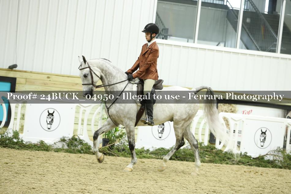 Proof 24BUCK_04950