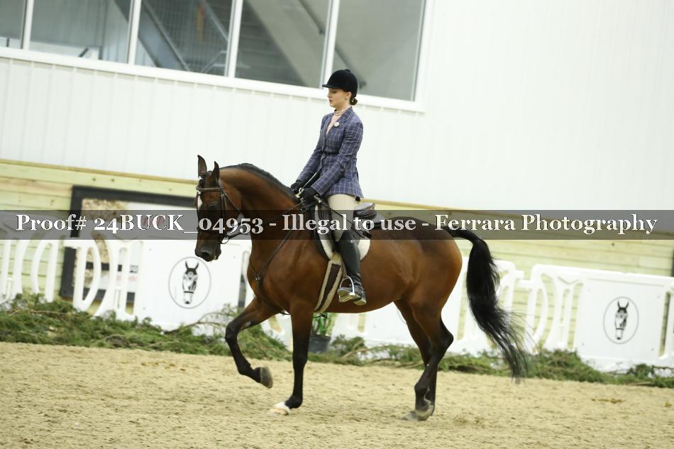 Proof 24BUCK_04953