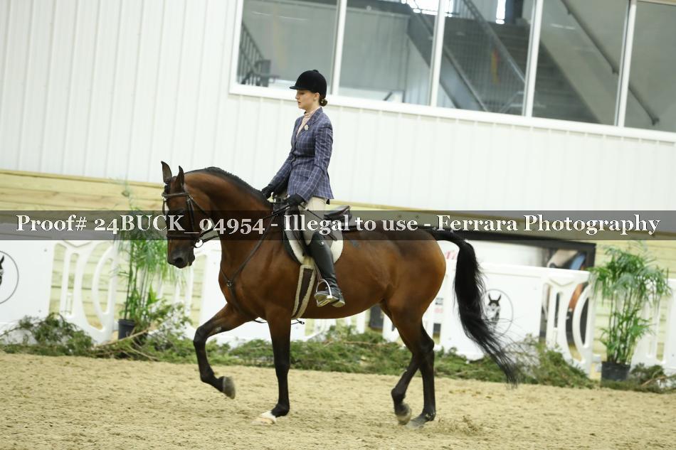 Proof 24BUCK_04954
