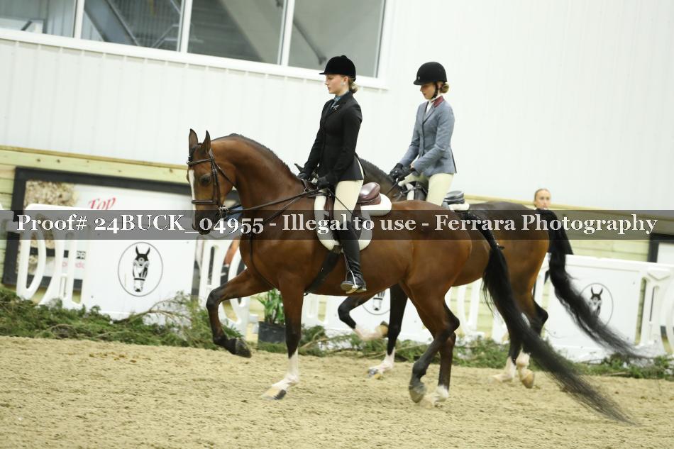 Proof 24BUCK_04955
