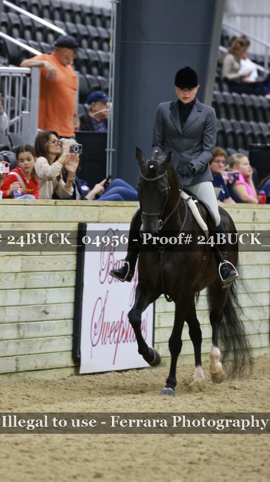 Proof 24BUCK_04956