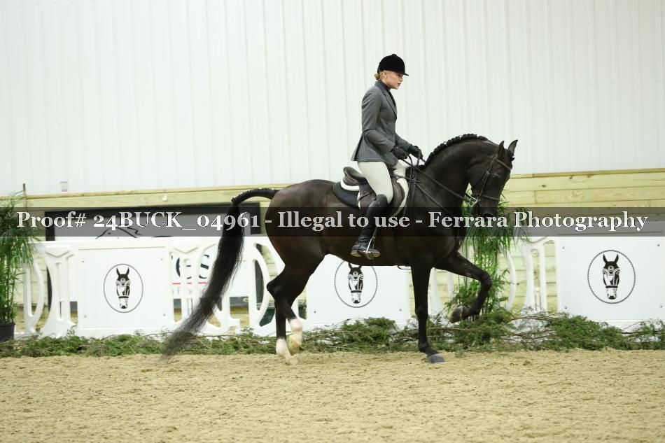 Proof 24BUCK_04961