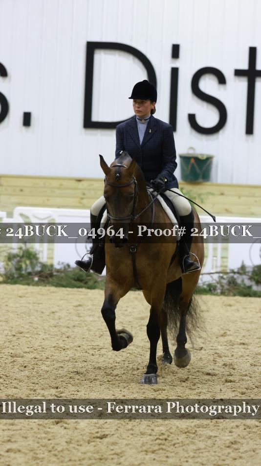 Proof 24BUCK_04964
