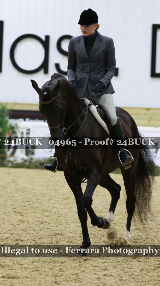 Proof 24BUCK_04965