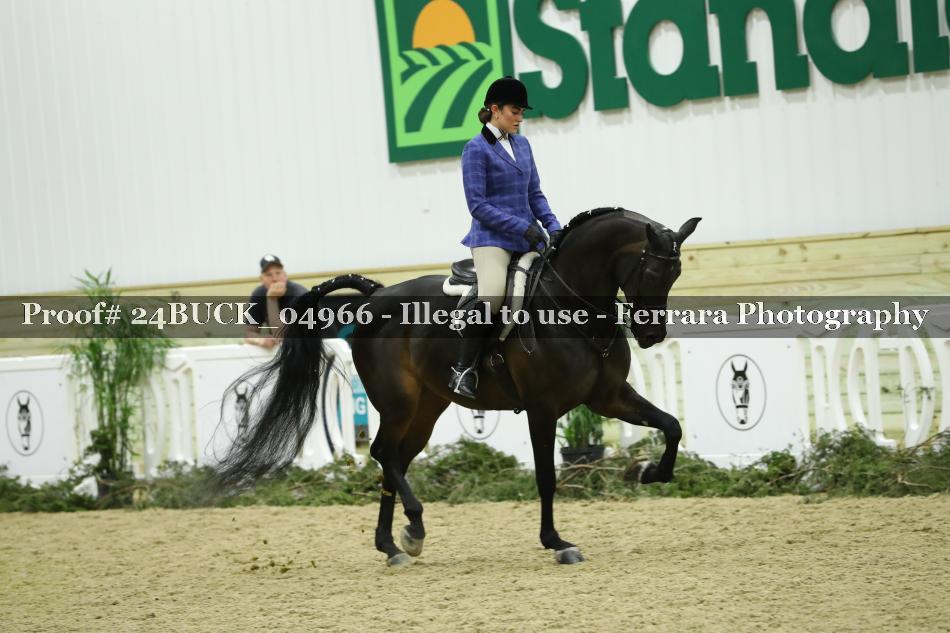 Proof 24BUCK_04966