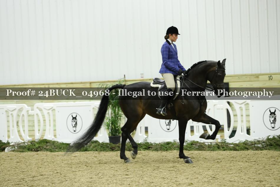 Proof 24BUCK_04968