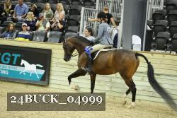 24BUCK_04999 proof