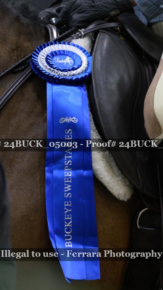 Proof 24BUCK_05003