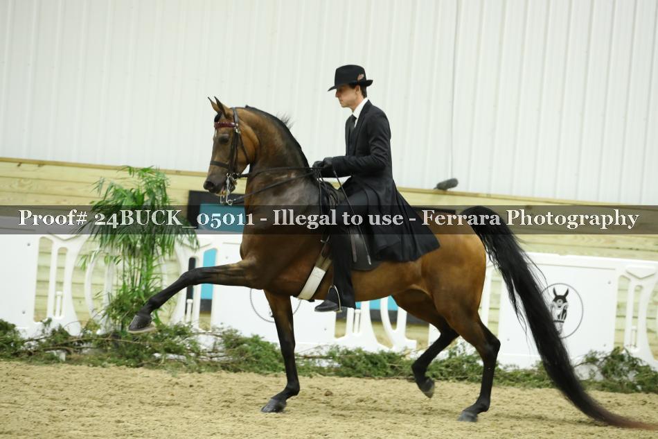 Proof 24BUCK_05011