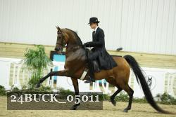 24BUCK_05011 proof