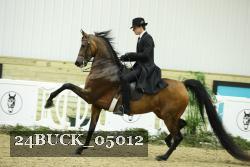 24BUCK_05012 proof