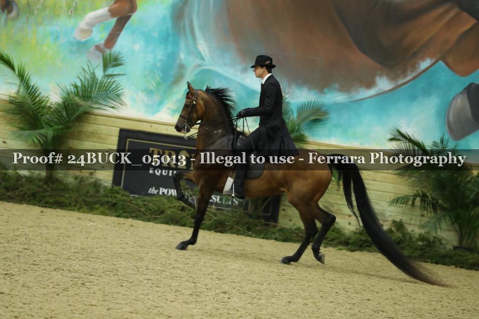 Proof 24BUCK_05013