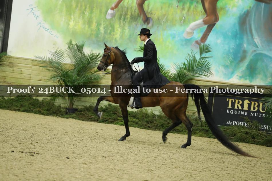 Proof 24BUCK_05014