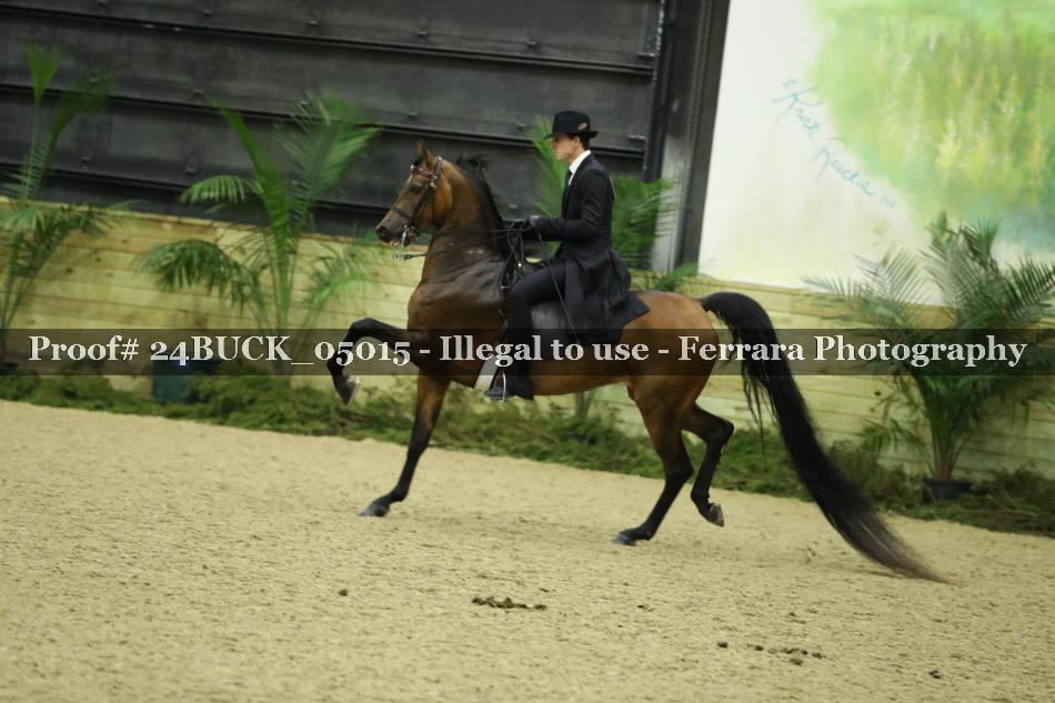 Proof 24BUCK_05015