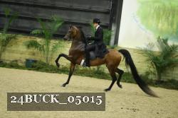 24BUCK_05015 proof