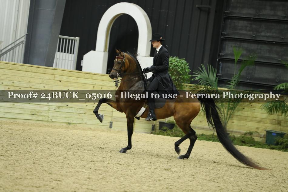 Proof 24BUCK_05016