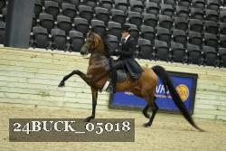 24BUCK_05018 proof
