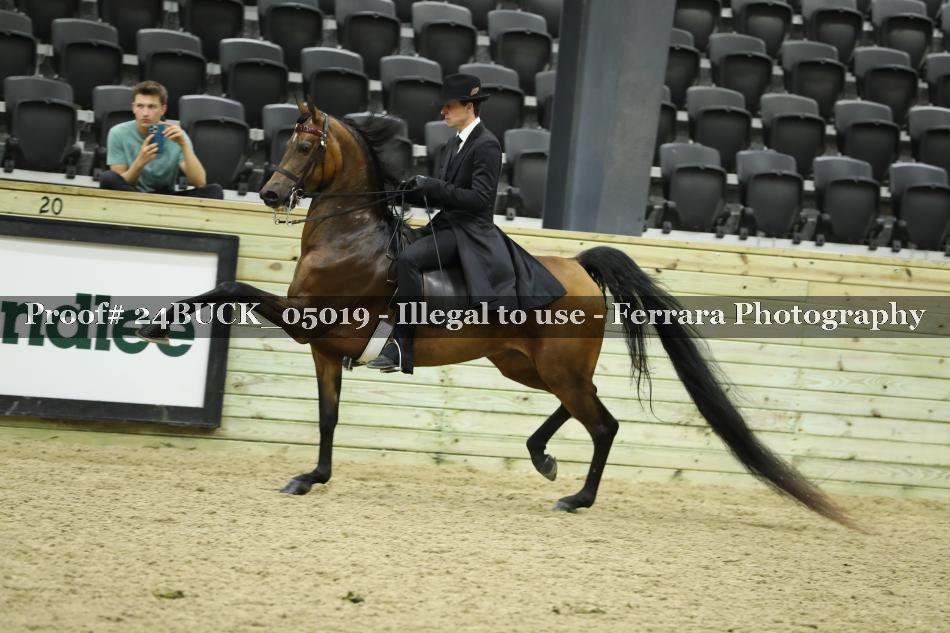 Proof 24BUCK_05019