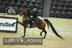 24BUCK_05019 proof