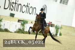 24BUCK_05024 proof
