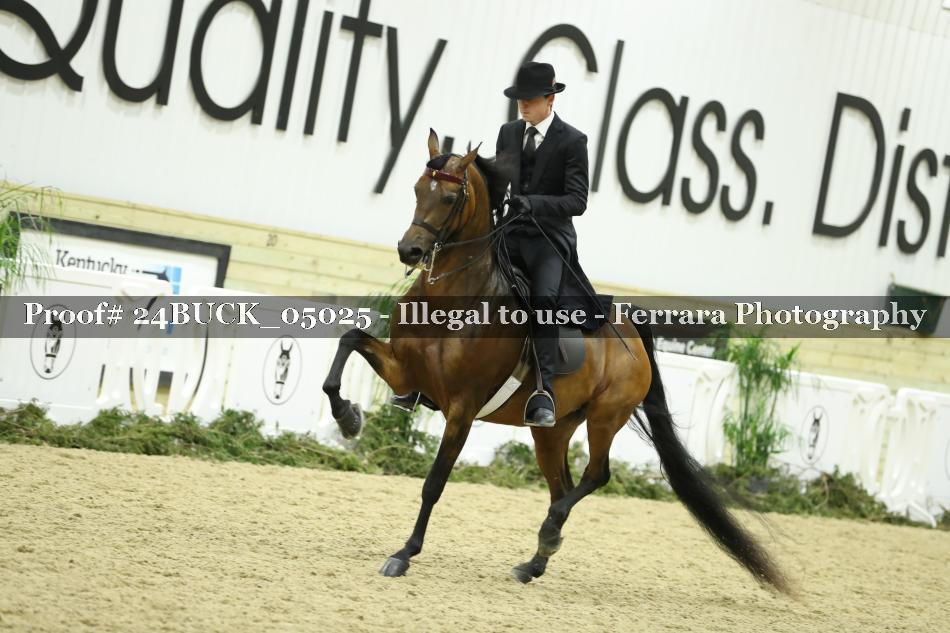 Proof 24BUCK_05025
