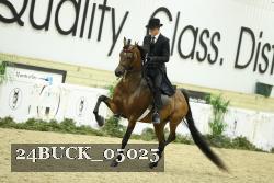 24BUCK_05025 proof
