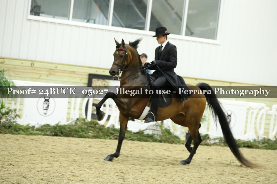 Proof 24BUCK_05027