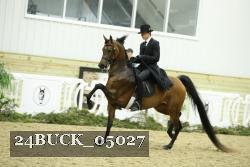 24BUCK_05027 proof