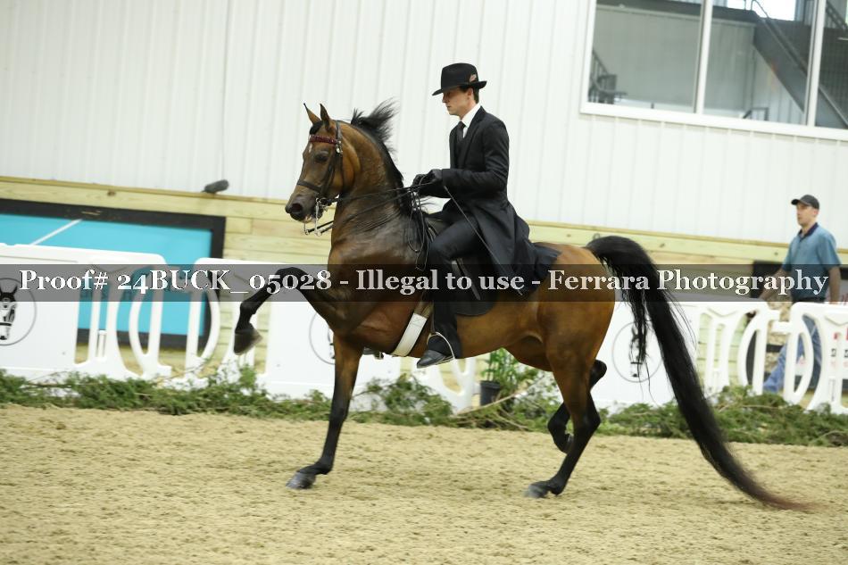 Proof 24BUCK_05028