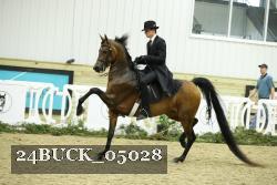 24BUCK_05028 proof