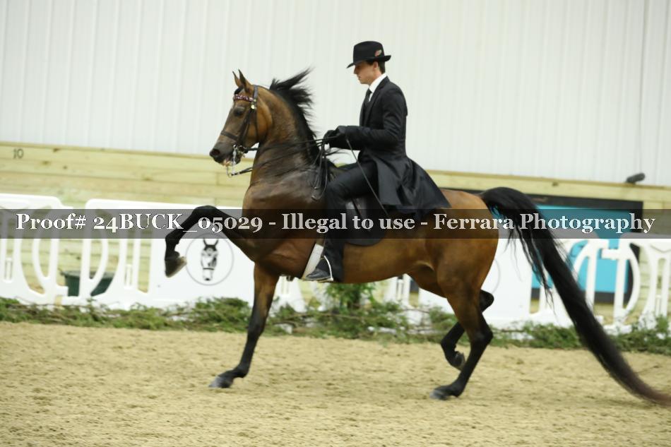 Proof 24BUCK_05029