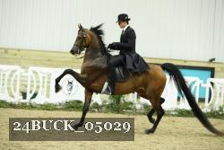 24BUCK_05029 proof