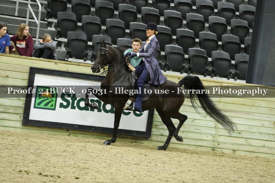 Proof 24BUCK_05031